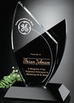 Picture for category Sable Award Gallery