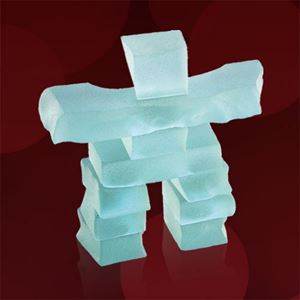 Picture of INUK110