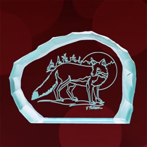 Picture of WLD100-13