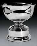 Picture for category Bowl - Vision