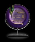 Picture for category Vision