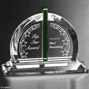 Picture of Bellingham Award 6"