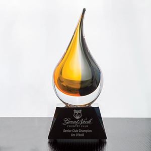 Picture of Tiberius Award - Gold/Black