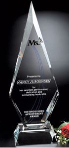Picture of Solitaire Award 16-1/2"