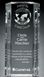 Picture of Capricorn Global Award 10"