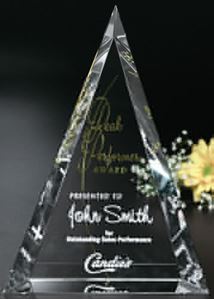 Picture of Palisade Award 10"