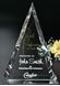 Picture of Palisade Award 10"