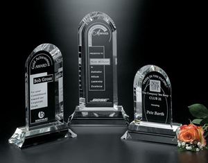 Picture of Skyline Award 11-1/2"