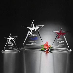 Picture of Guardian Award 6-1/2"