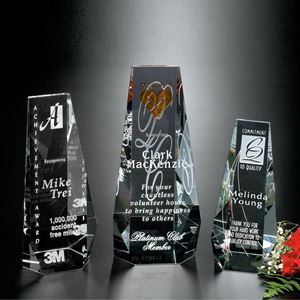Picture of Wedgewood Award 6"
