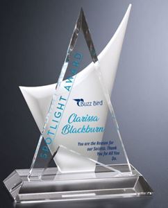 Picture of #5143 Enterprise Award 11-1/2" 