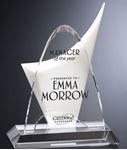Picture of #5157 Discovery Award 11-3/4" 