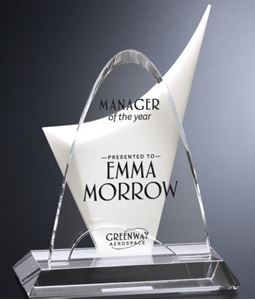 Picture of #5157 Discovery Award 11-3/4" 