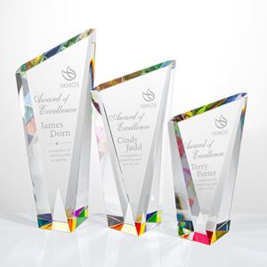 Picture of Plymouth Award