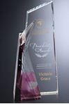 Picture of #8305 Achievement Purple Award 8-1/2"