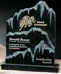 Picture for category Stoneridge Award Gallery